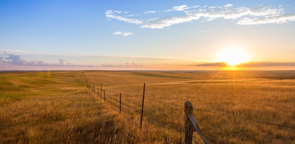 How Tax Loss Harvesting Can Potentially Reduce Your Capital Gains Taxes