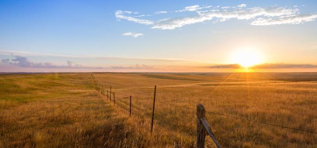 Sunrise in the prairie 